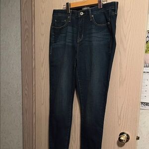 Torrid Dark Indigo Skinny Jeans